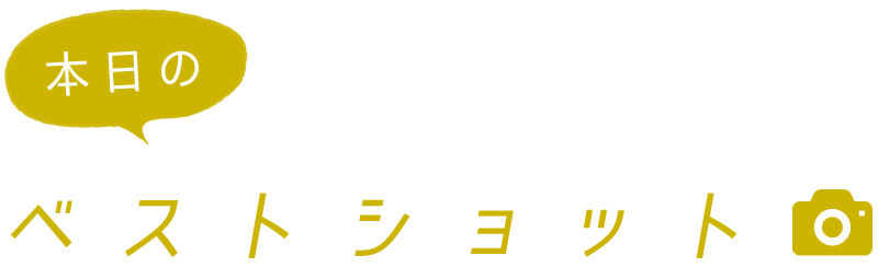 本日のベストショット